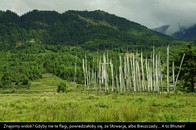 bhutan_landscape_01.JPG