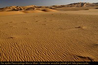09_Sahara_dunes.JPG